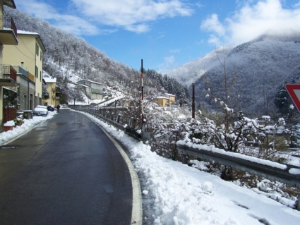  Image name: molino 2008 pasqua 031.jpg 
 width: 425 pixel 
 height: 319 pixel 
 Size: 128047 bytes 
 Click to enlarge 